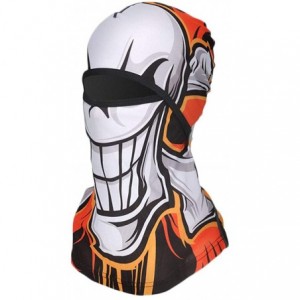 Balaclavas 3D Animal Funny Balaclava Full Face Mask Neck Warmer for Cycling Motorcycle Skiing Outdoor Sports - King - CF198CK...