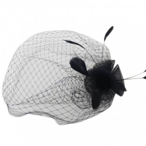 Headbands Face Veil Flower Feather Clip On Birdcage Races Fascinator Headpiece Headwear - black - CD12MXV5VVC $9.60