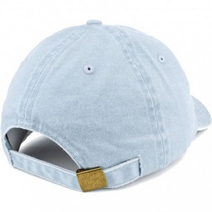 Baseball Caps Established 1967 Embroidered 53rd Birthday Gift Pigment Dyed Washed Cotton Cap - Light Blue - CC180ND7903 $35.84